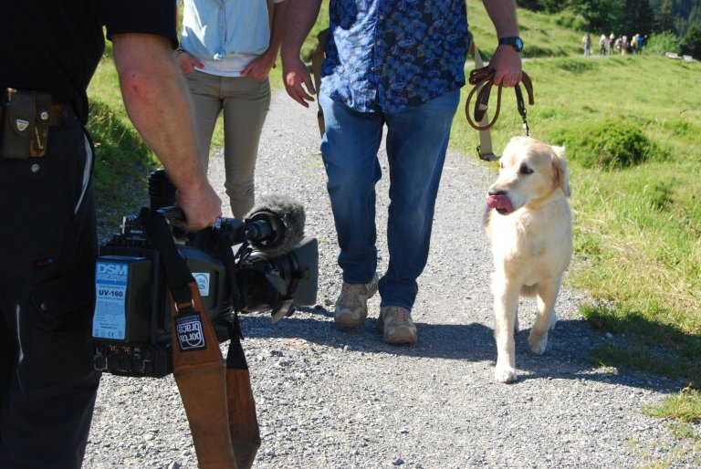 ... dafür setzt er Roy's Therapiehund Micah ins Rampenlicht.