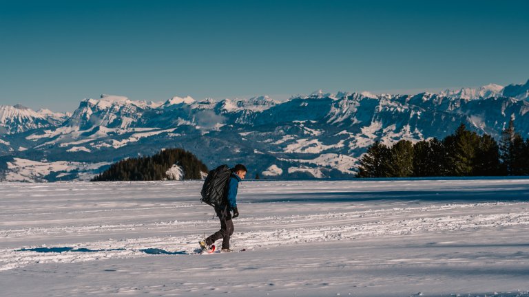 Blick Richtung Berner Alpen | © 2021 ALPHAVISION 
