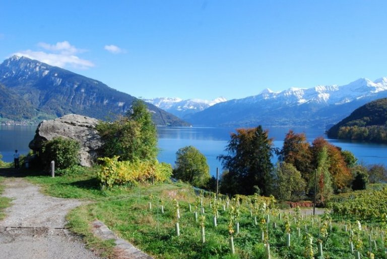 Sie sei dankbar solche Ausflüge wie hier nach Spiez noch machen zu können, sagt Johanna.