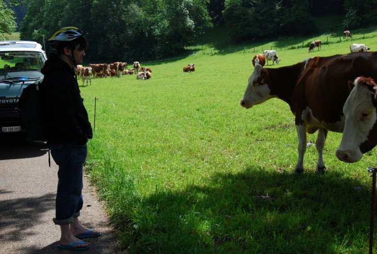 Alain ist immer zu Spässen aufgelegt, das spüren unterwegs wohl sogar die Kühe.