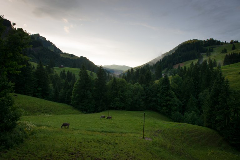 Aussicht ins Tal vom Restaurant Kräzerli.