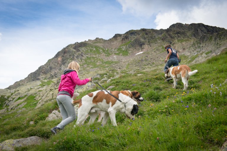 Dann ging's auf den Berg. Zum Glück hatte ich 4-Pfoten-Antrieb.