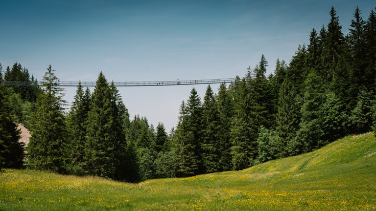 Längste Fussgängerhängebrücke der Schweiz
 | © ALPHAVISION