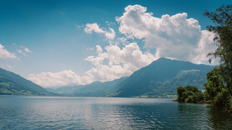 Am schönen Zugersee | © 2024 ALPHAVISION