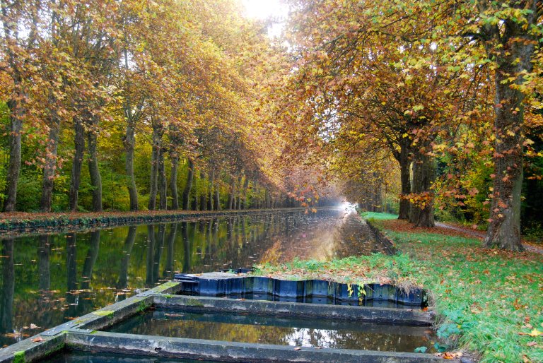 Viele Kilometer ist Hetty Overeem am «Ancien Canal du Rhône au Rhin» unterwegs.