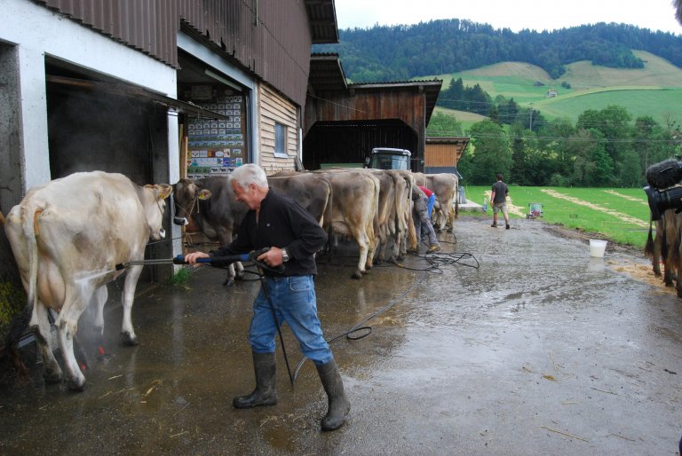 Während der Festakt noch im Gange ist, bereiten sich die Bauern schon für den Umzug vor.