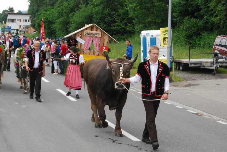 Selbst ein Muni fehlt nicht am Umzug.