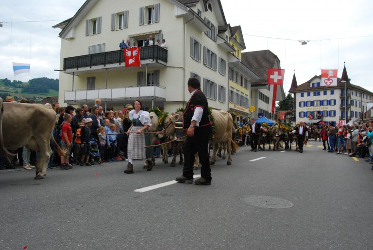 Reto und Silvia Theiler treiben ihr Vieh sonst im Frühling auf die Alp Äbnistetten.