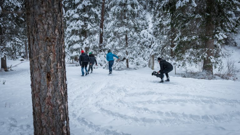 Tolle Bilder im frischverschneiten Wald