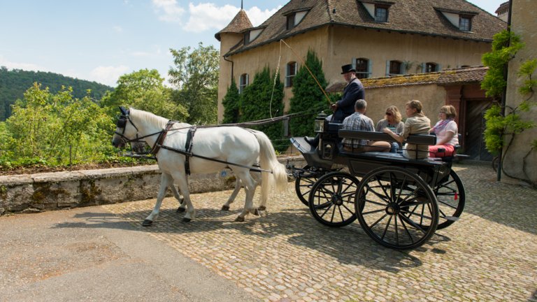 Ankunft beim Schloss Wildenstein ...