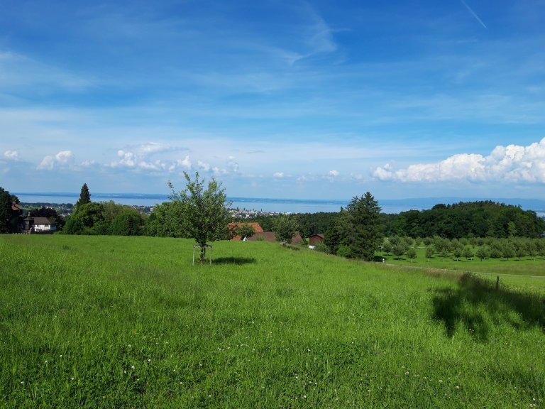 Weitsicht auf den Bodensee | © 2021 ALPHAVISION