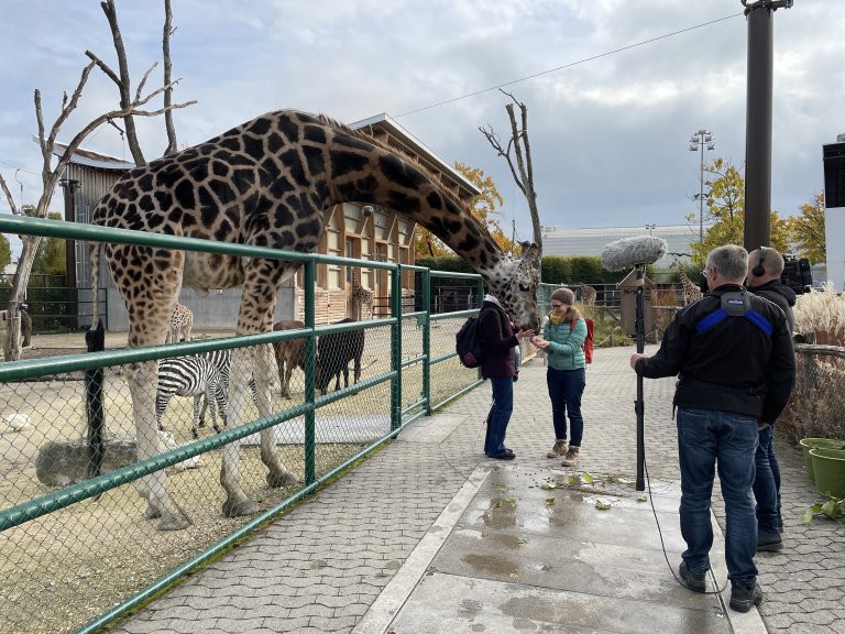 Auch für uns als Alphavisions-Crew ist der Besuch im Zoo eindrücklich | © 2021 ALPHAVISION