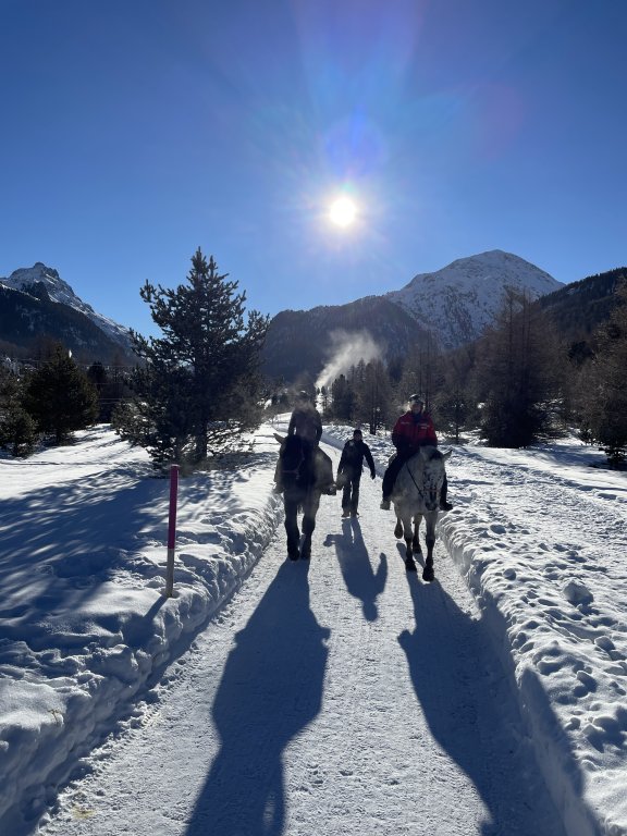 Sonne und Schnee, was will man mehr? | © 2022 ALPHAVISION